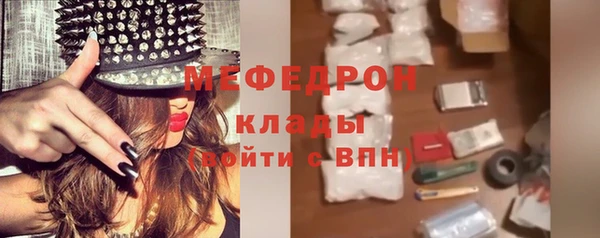 гидра Няндома