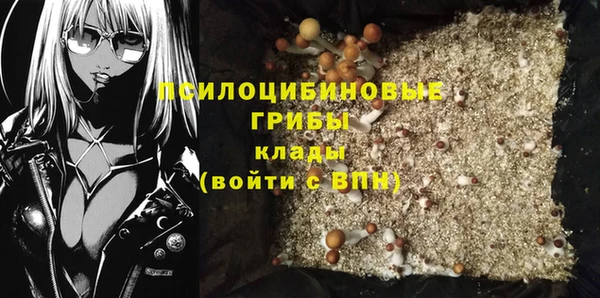 гидра Няндома