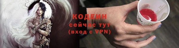 гидра Няндома