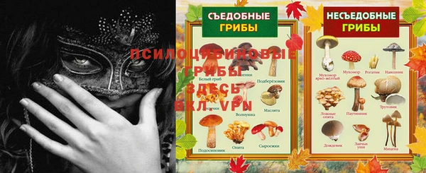 гидра Няндома