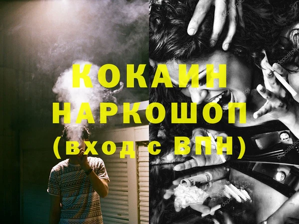 гидра Няндома