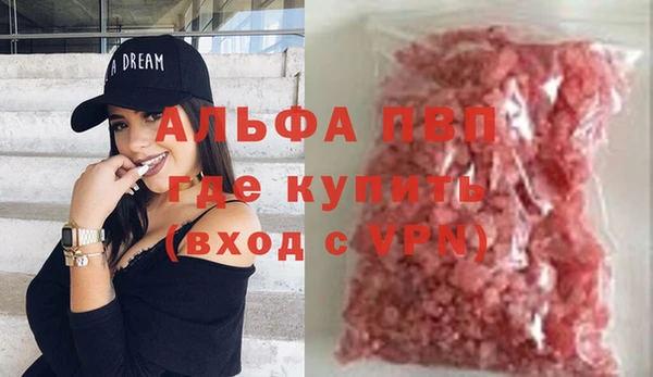 гидра Няндома