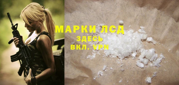 гидра Няндома