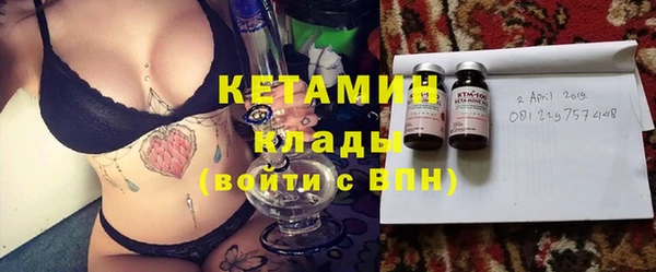 гидра Няндома