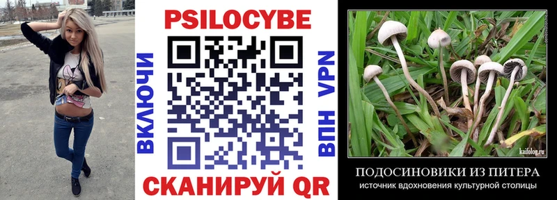 хочу наркоту  Полевской  MEGA зеркало  Псилоцибиновые грибы Psilocybine cubensis 