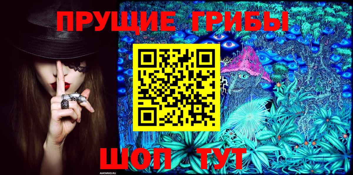 Галлюциногенные грибы Psilocybine cubensis Полевской