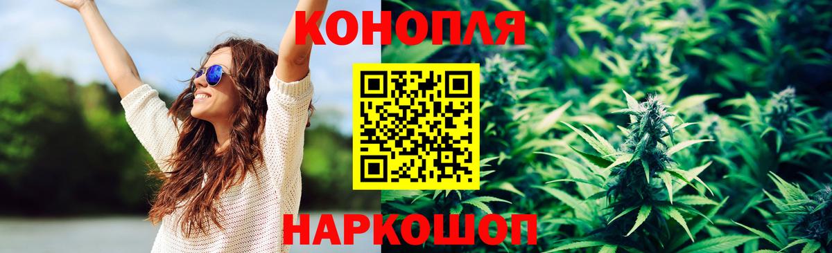 Конопля тримм  Бошки Шишки ГИДРОПОН  Полевской  Вход с VPN  Конопля THC 21%  МАРИХУАНА MAZAR 